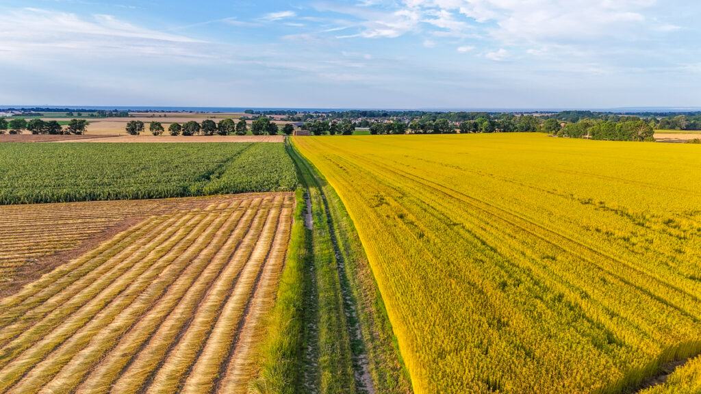 Vue sur la campagne normande et la mer de la Côte de Nacre