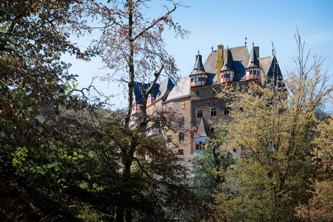 Le château Burg Eltz vu à travers les arbres